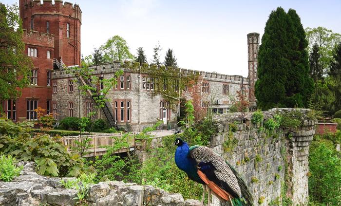 Historic grounds, stunning gardens, panoramic views, plus a prode of peacocks